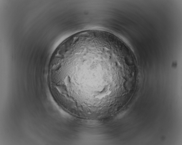 X0000110701007200906261403