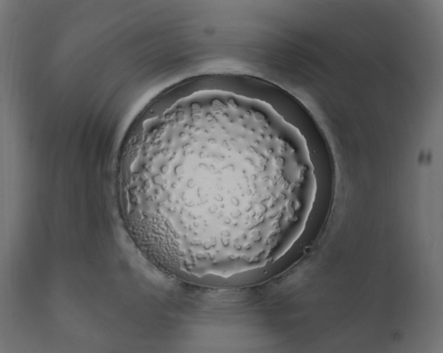 X0000110701008200906261403