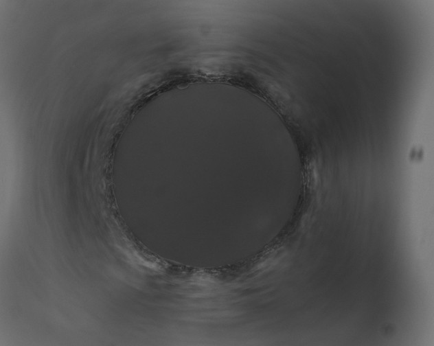 X0000110701009200906261402