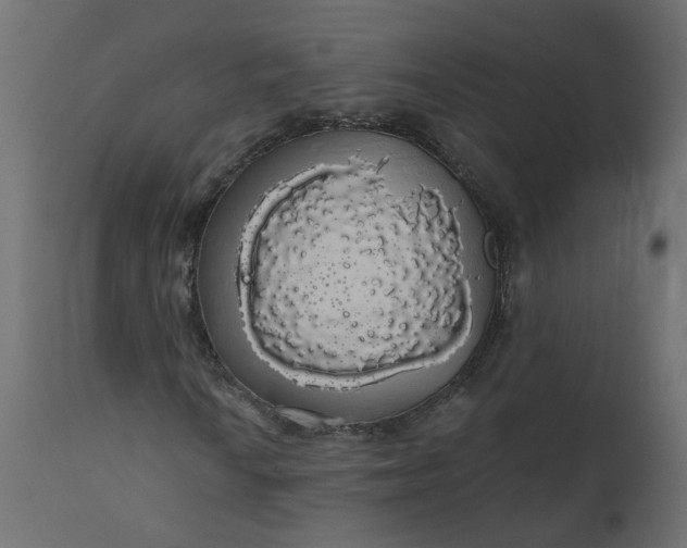 X0000110701010200906261402