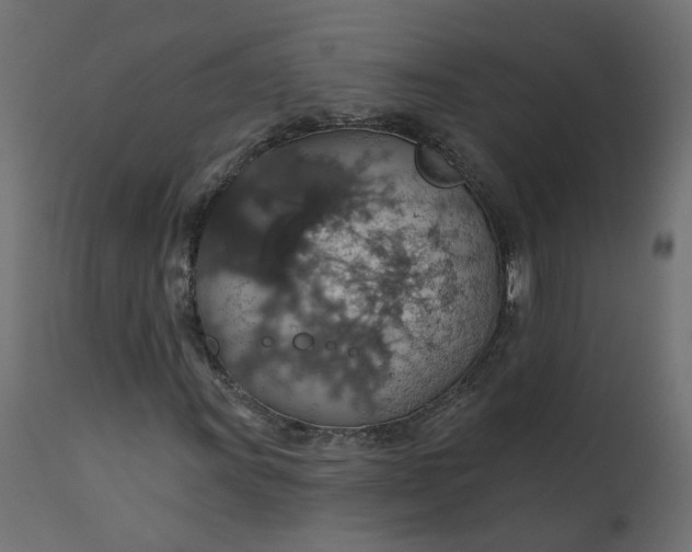 X0000110701011200906261402