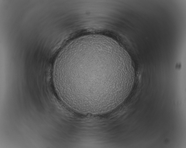 X0000110701012200906261402