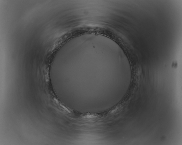 X0000110701013200906261402