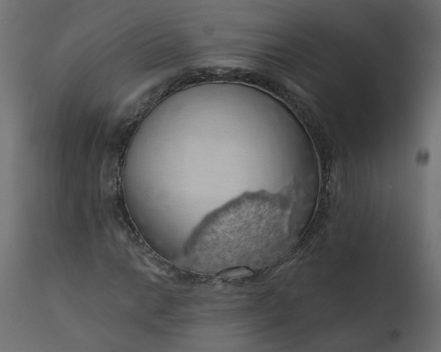 X0000110701014200906261402