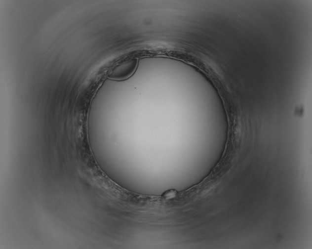 X0000110701016200906261402
