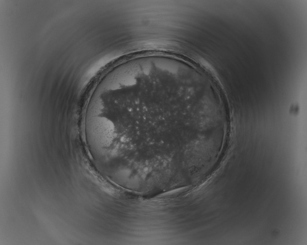 X0000110701019200906261402