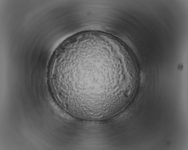 X0000110701020200906261402