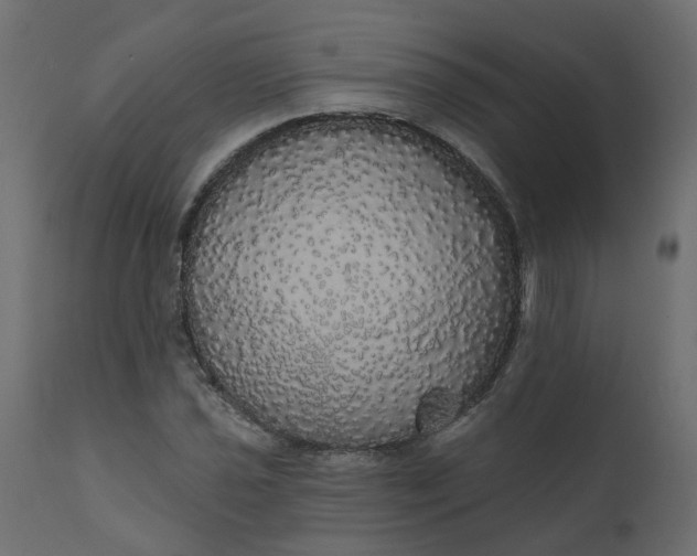 X0000110701021200906261402