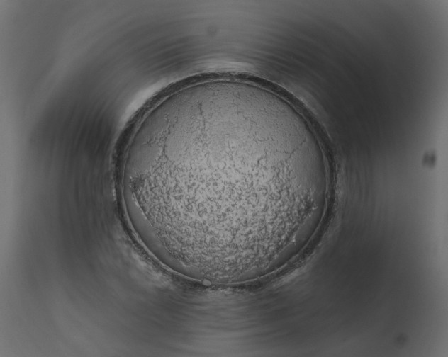X0000110701022200906261402