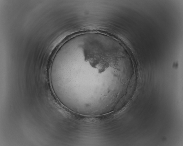 X0000110701023200906261402