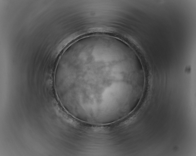 X0000110701025200906261403