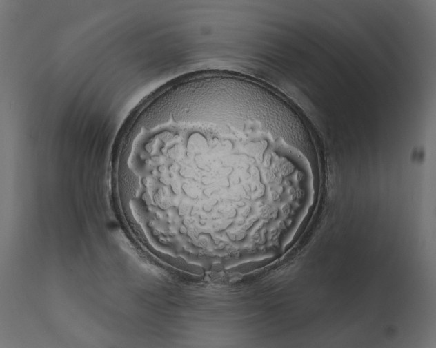 X0000110701028200906261403