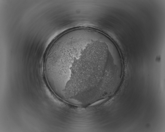 X0000110701032200906261403