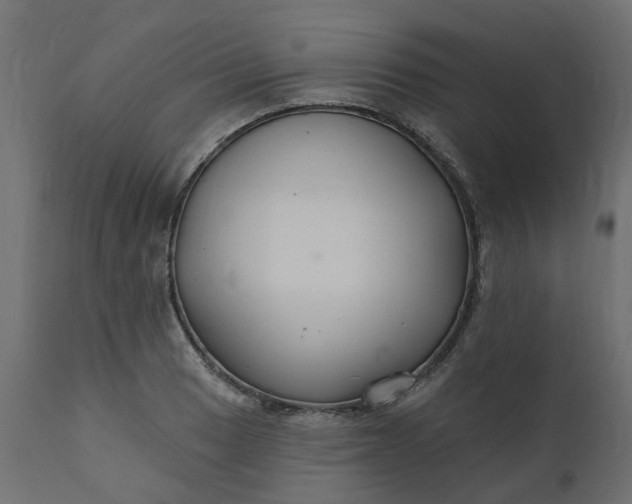 X0000110701033200906261403