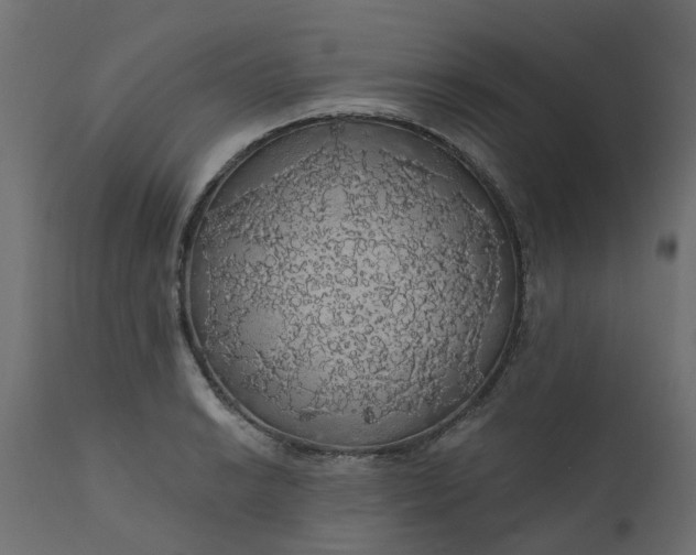 X0000110701038200906261403