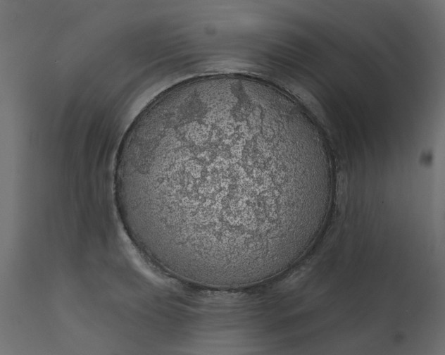 X0000110701039200906261403