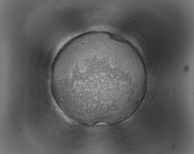 X0000110701040200906261403
