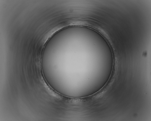 X0000110701041200906261403