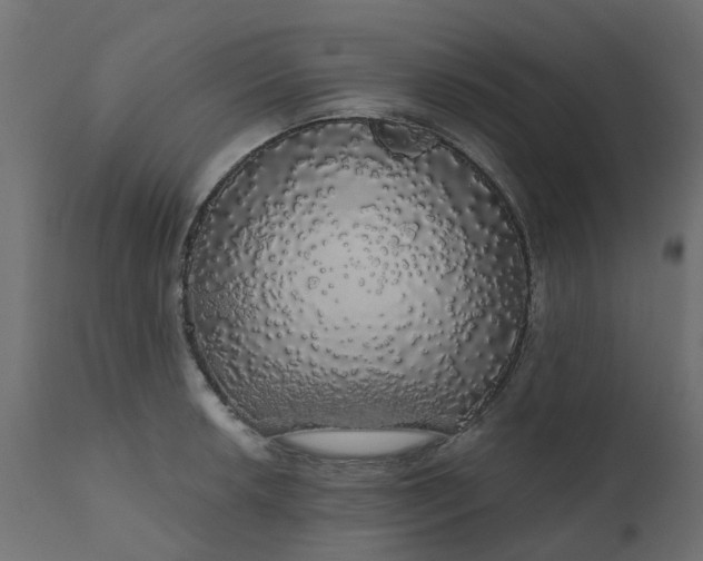 X0000110701042200906261403