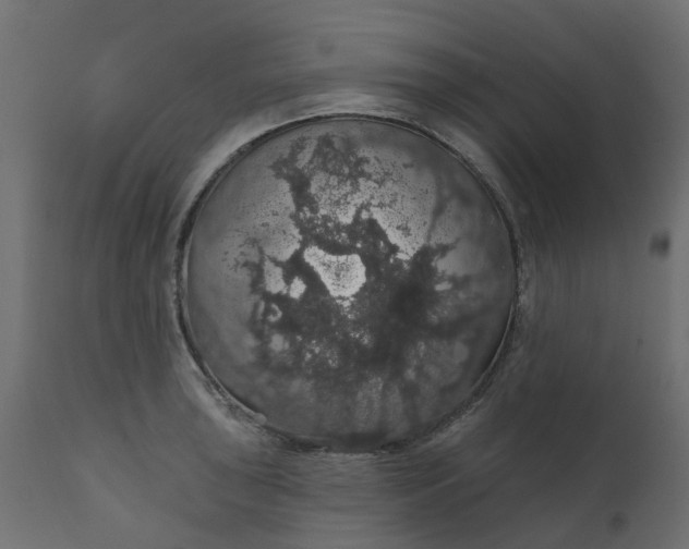 X0000110701043200906261403