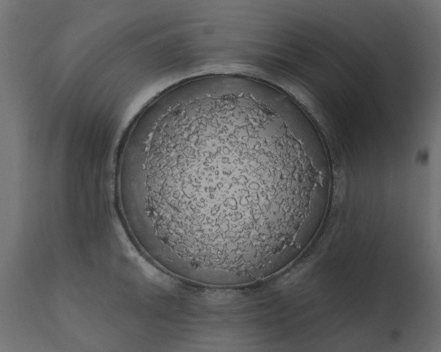 X0000110701046200906261403