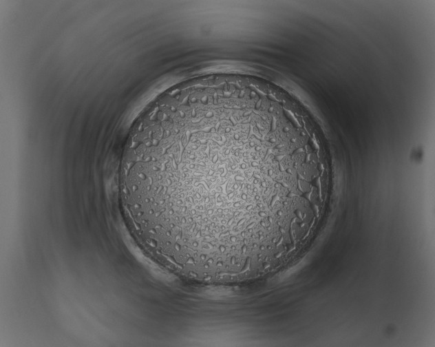 X0000110701049200906261403