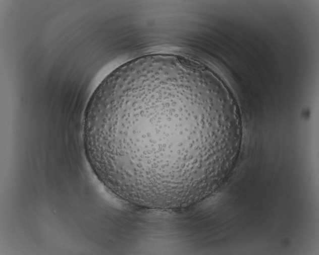 X0000110701050200906261403