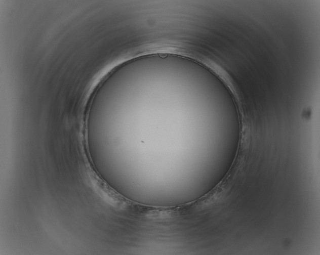 X0000110701051200906261403