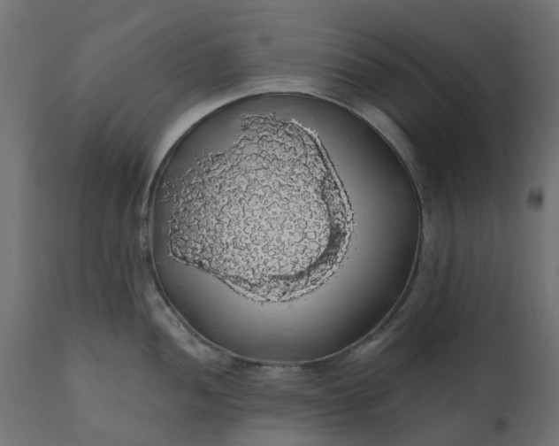 X0000110701052200906261403