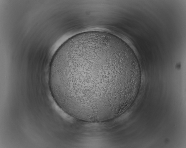 X0000110701054200906261403