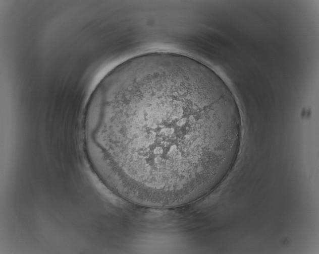 X0000110701056200906261403