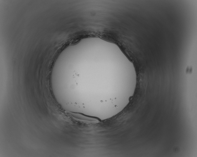 X0000110701057200906261402