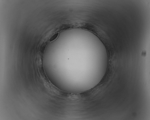 X0000110701058200906261402