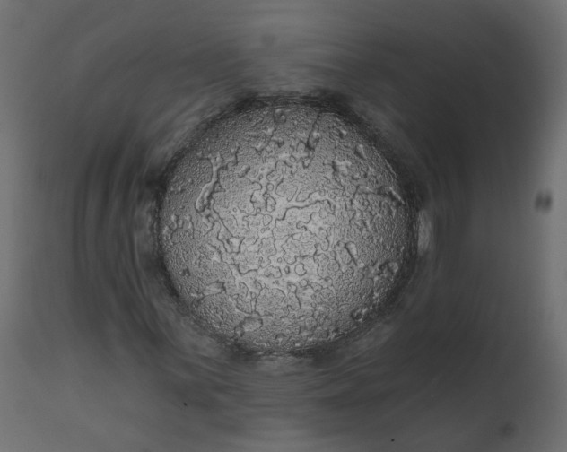 X0000110701059200906261402