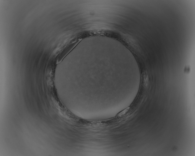 X0000110701060200906261402