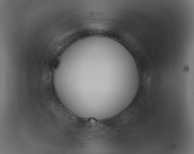 X0000110701061200906261402