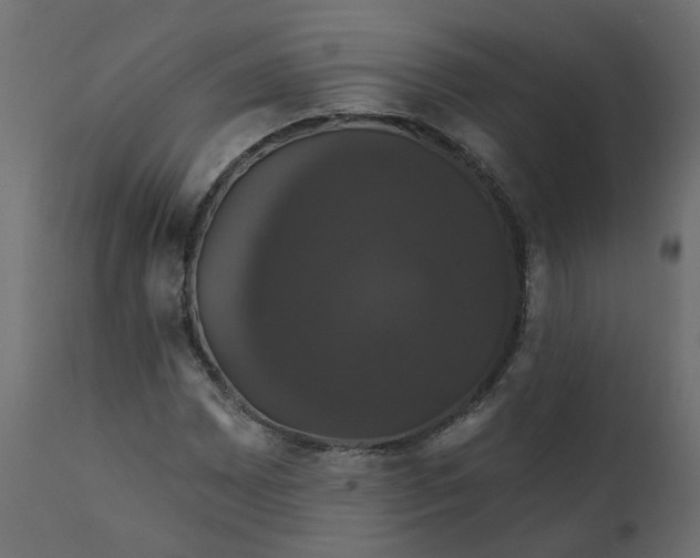 X0000110701065200906261402