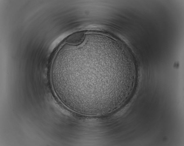 X0000110701066200906261402