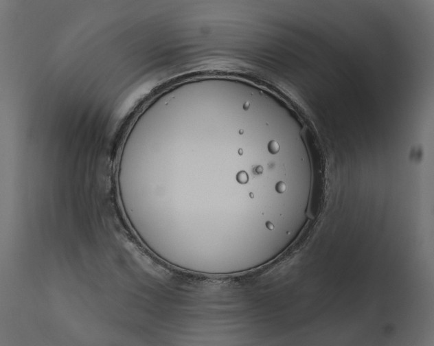 X0000110701067200906261402