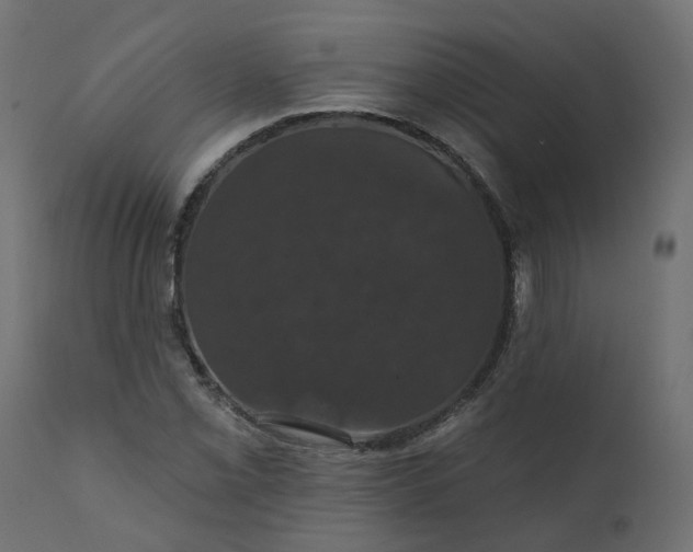 X0000110701069200906261402