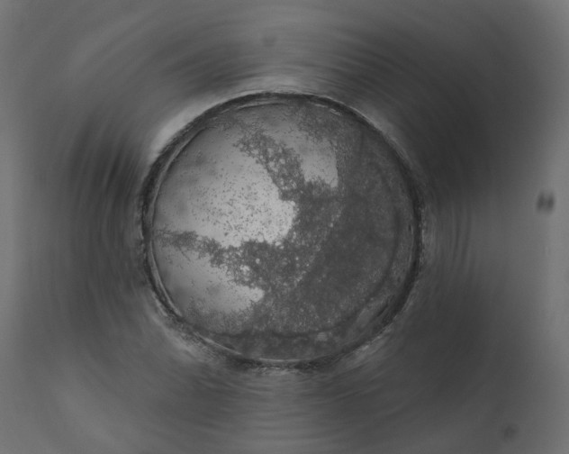 X0000110701070200906261402