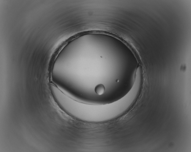 X0000110701072200906261402