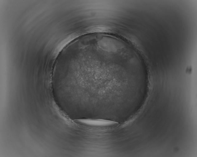 X0000110701073200906261402