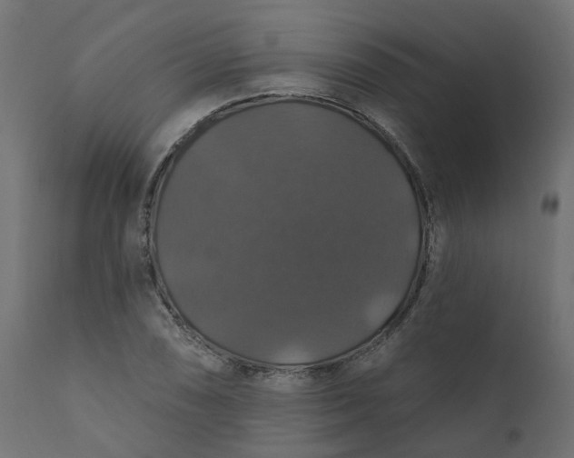 X0000110701074200906261402