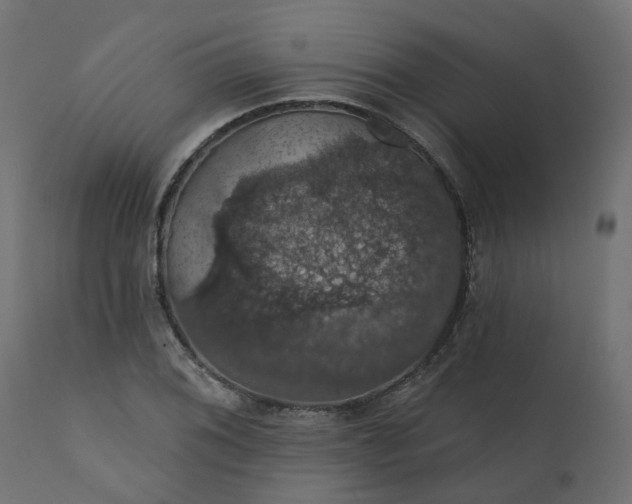 X0000110701076200906261402