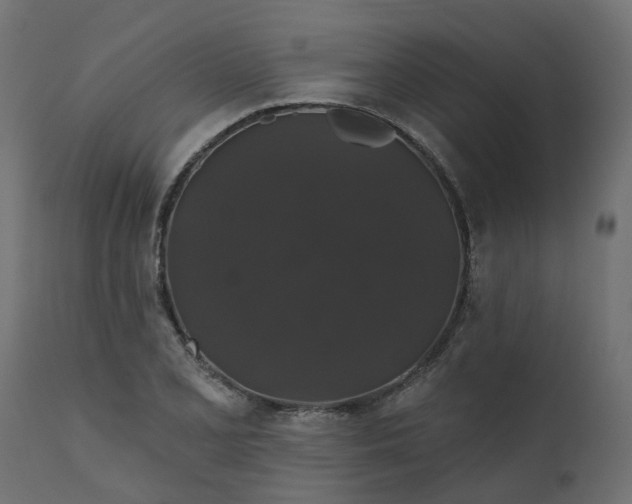 X0000110701077200906261402