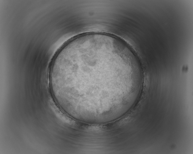 X0000110701078200906261402