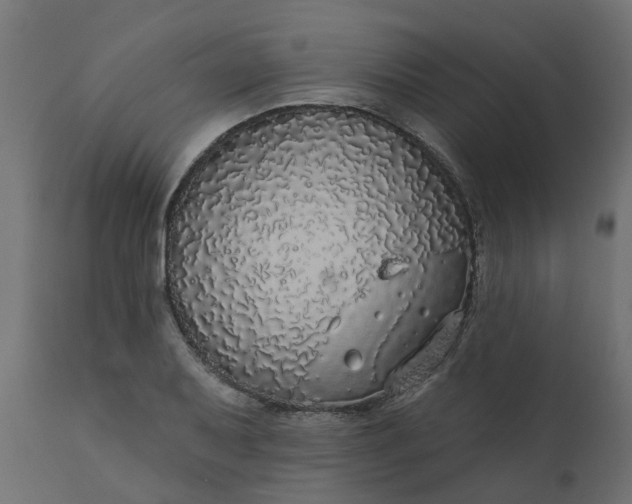 X0000110701079200906261402