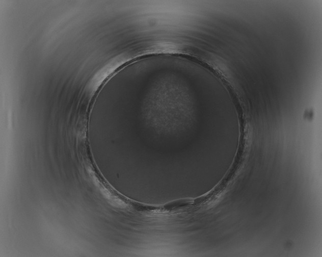 X0000110701081200906261402
