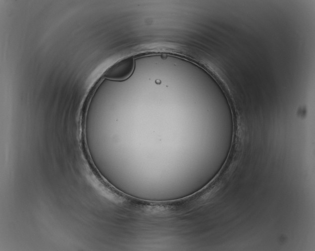 X0000110701082200906261402